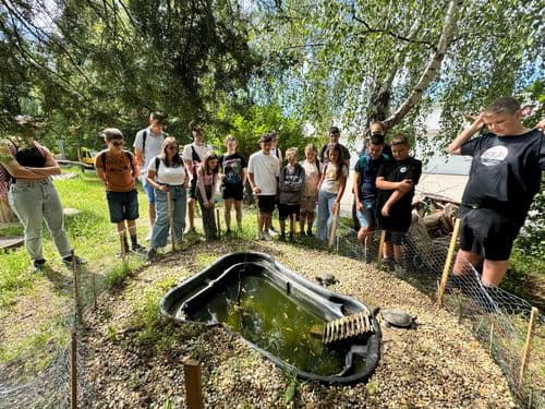 PO tábor 2024 - tanulók műanyag egy kerti tavat néznek, amibe teknősők laknak, ezek látszanak is a kis tó körül