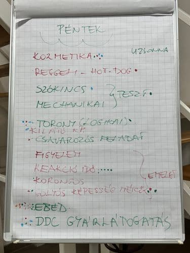 A pályaorientációs tábor pénteki programja plakát – pl. kozmetika, a reggeli hotdog, ddc gyárlátogatás